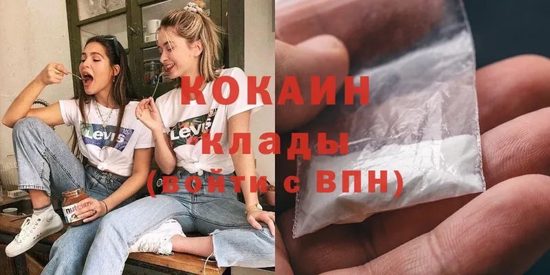 Cocaine FishScale  купить наркотики сайты  Кизилюрт 